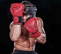 拳击引发投注狂潮，赔率走势成谜的简单介绍