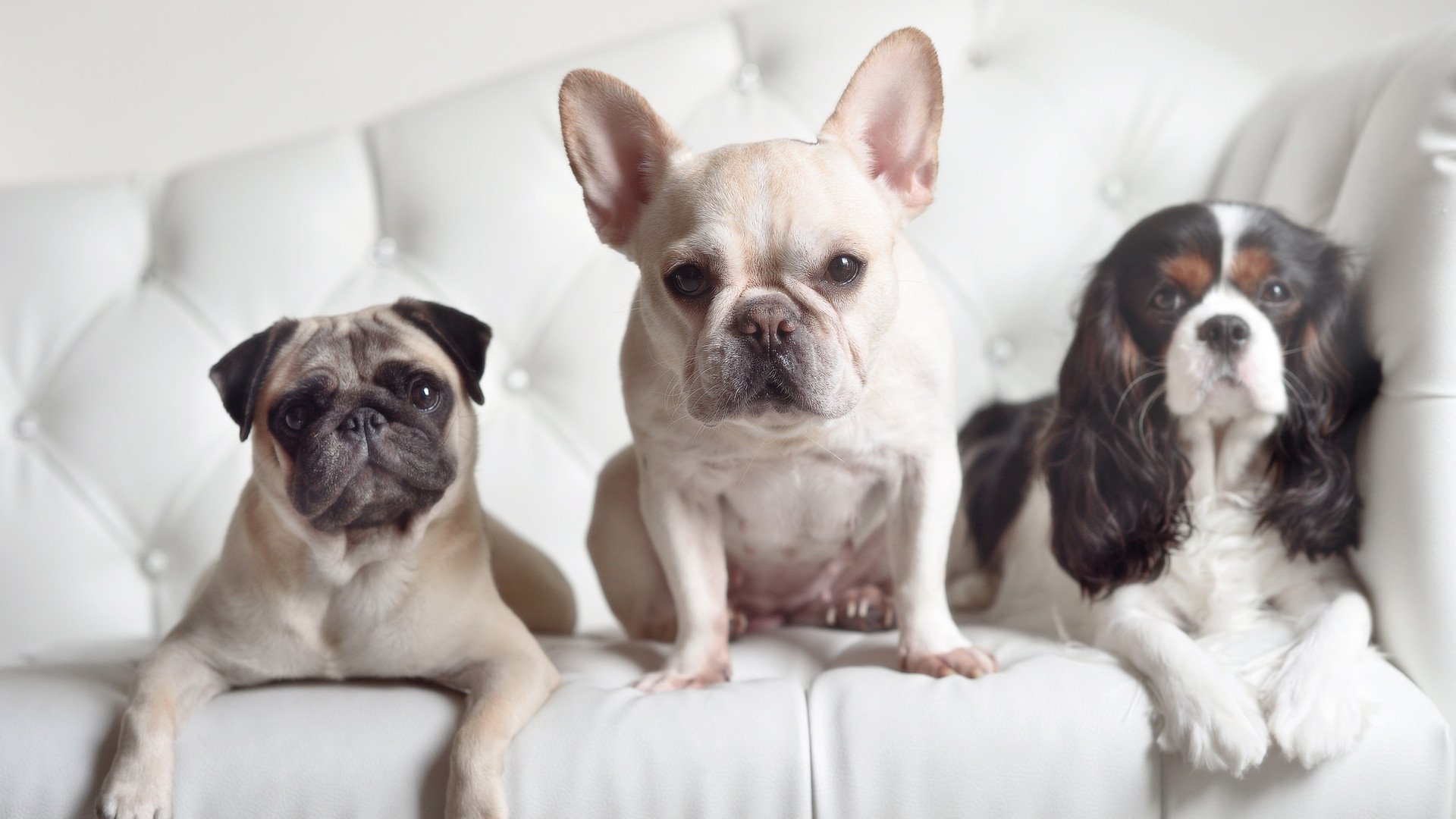 开云体育官网-时间裂隙中的舞者，德罗赞在奥运周期关键战夜的节奏诗学