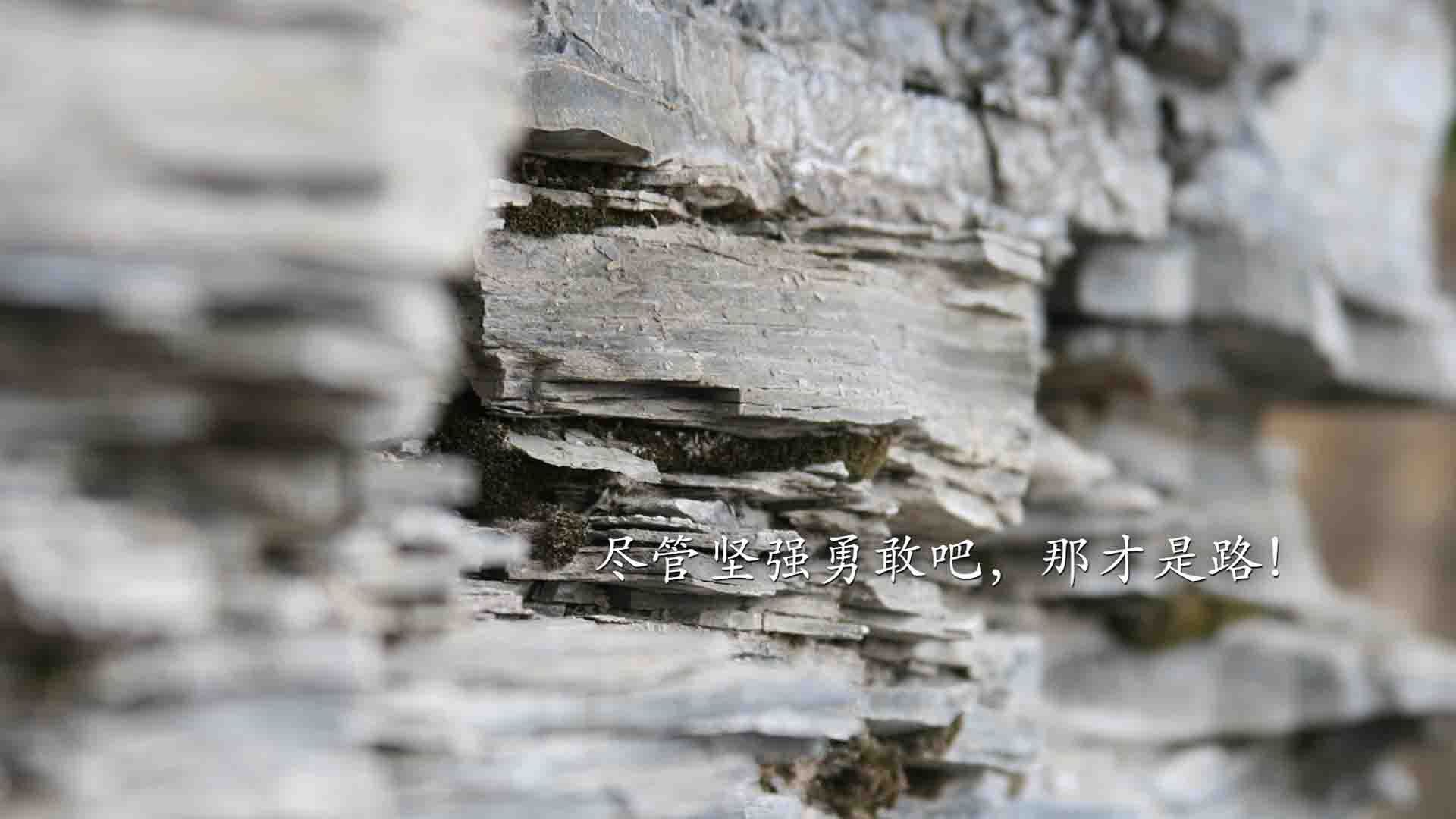 钢铁雄狮踏碎布鲁克林!辽宁队强势晋级,字母哥末节封神定乾坤