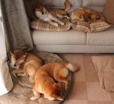 开云体育入口-布鲁诺独舞撕裂铁桶阵，墨西哥洪流席卷澳大利亚