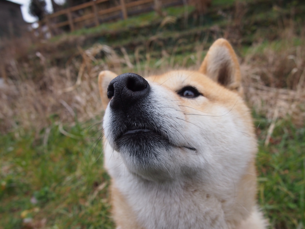 悬崖边的铁卫咆哮,斯通斯一锤定音,英格兰惊魂险胜厄瓜多尔
