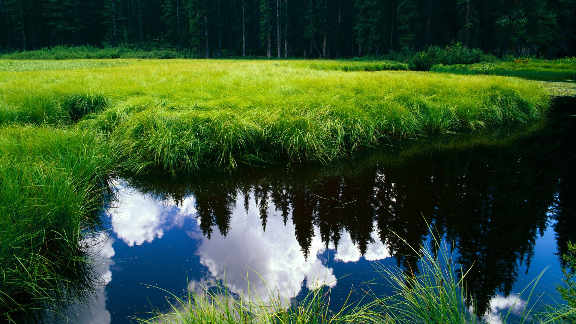 蓝桥遗梦照进绿茵，2026世界杯希腊vs荷兰，切尔西元素决定胜负