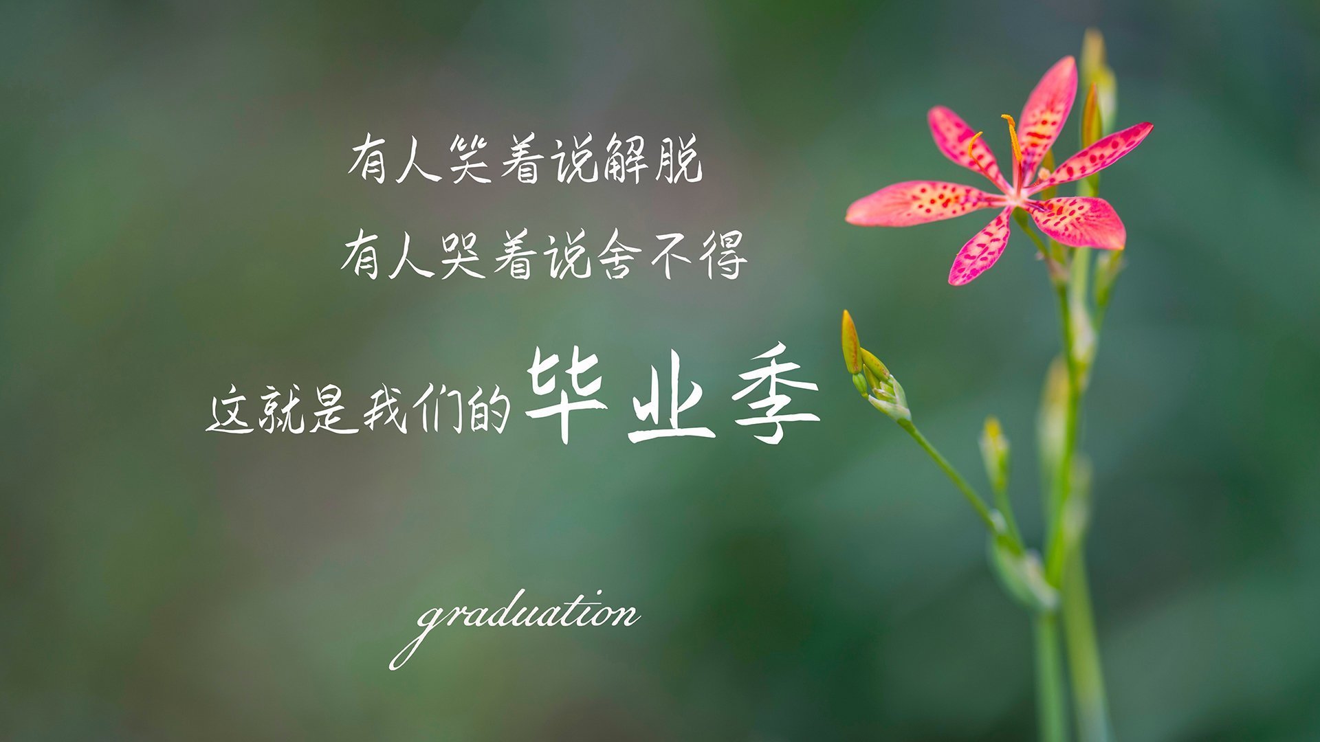 东决关键战之夜，库里如何成为全联盟的大场面先生？