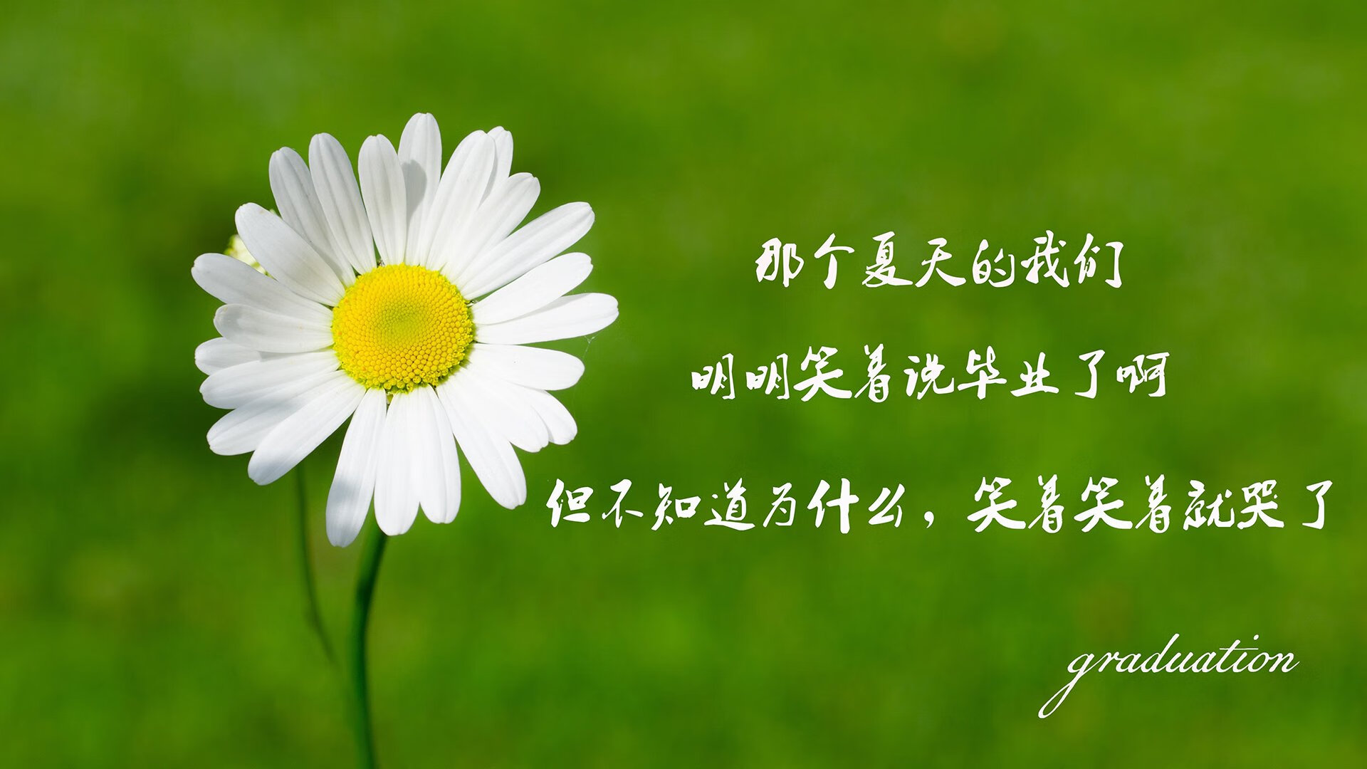 跨越东西的篮球诗篇,马刺的团队基因与保罗的关键时刻哲学