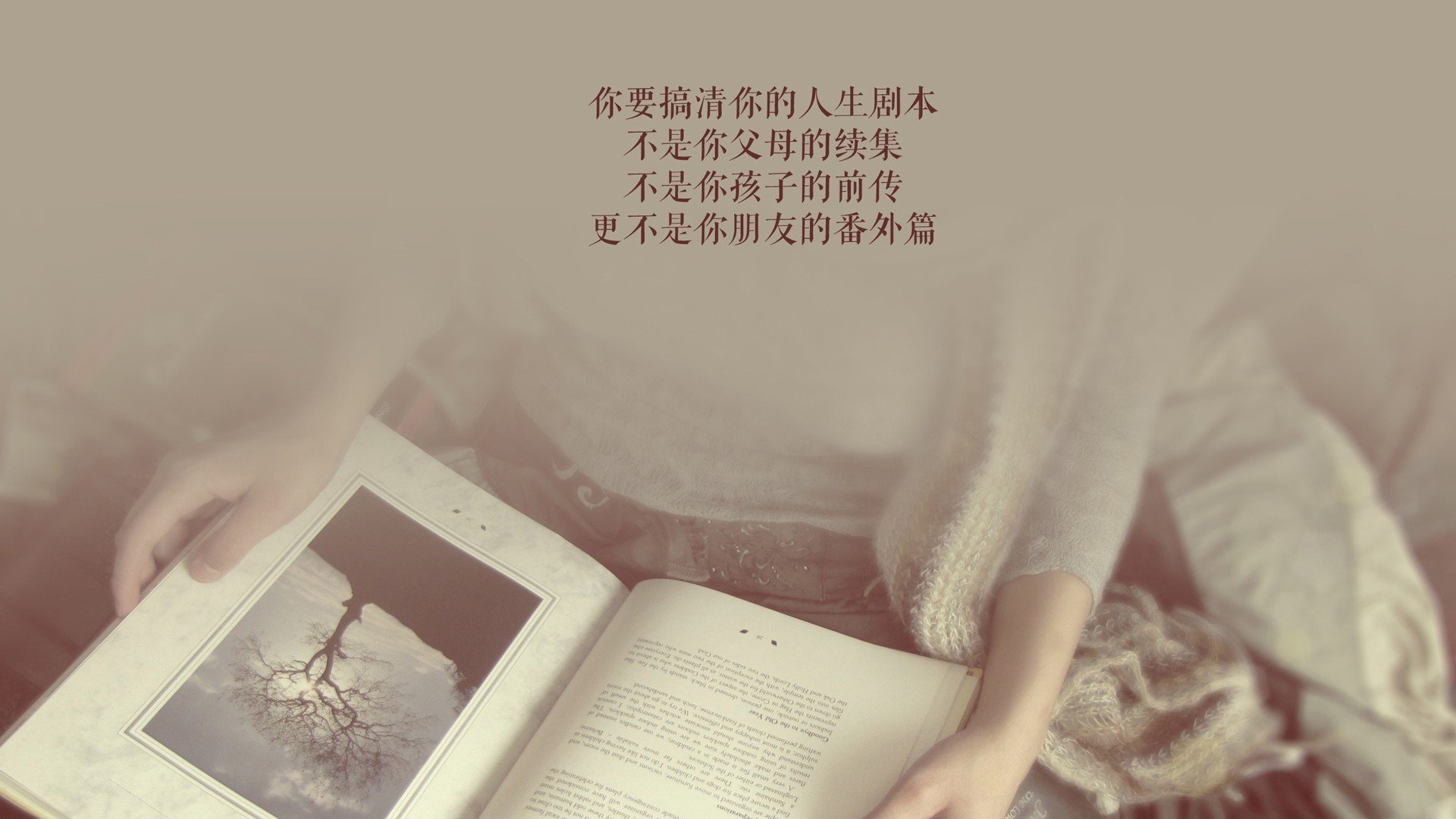 冰与火的唯一交响,哈基米与喀麦隆在2026世界杯出线战中的巅峰独白