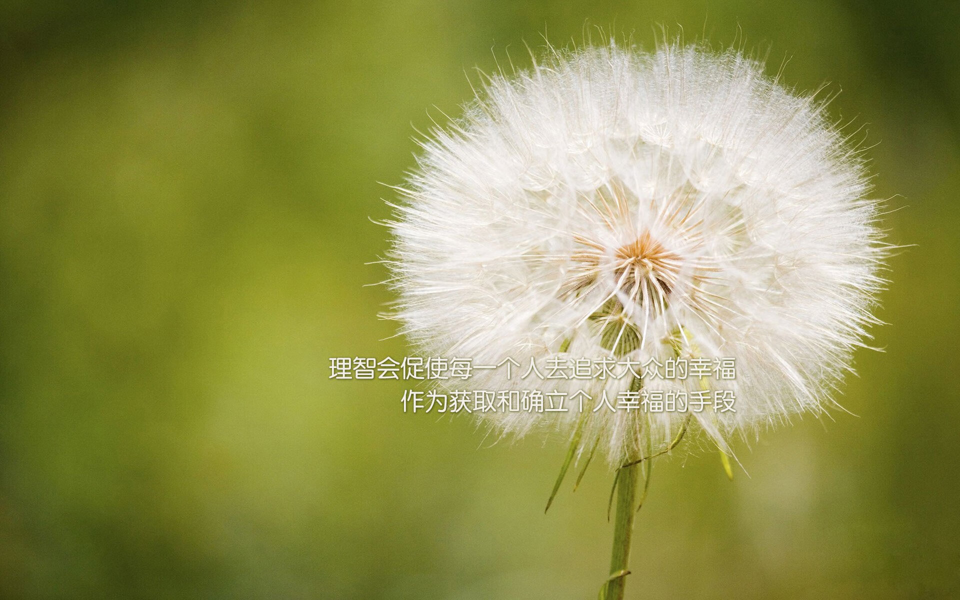 亚平宁的逆鳞,当意大利用防守之殇淬炼出最锋利的刃—2026世界杯B组生死战,托纳利引领绝境反杀
